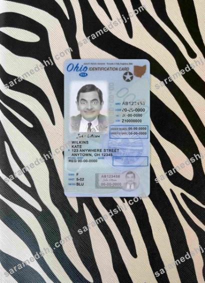 USA Ohio driving license under 21 photolook FRONT